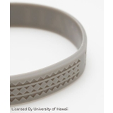 University of Hawaii | アミナコレクション | 詳細画像5