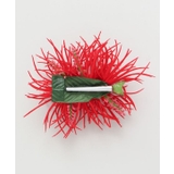 【Maunaloa】ソードリーフクリップ | アミナコレクション  | 詳細画像7 