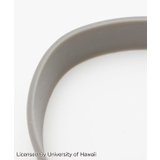 University of Hawaii | アミナコレクション | 詳細画像6