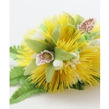 【Maunaloa】レフアシンビジウムクリップ | アミナコレクション  | 詳細画像8 