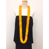 オレンジ | 【Maunaloa】イリマロングレイ | アミナコレクション 