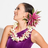 ピンク | 【Maunaloa】ヘリコニアヌイクリップ | アミナコレクション 