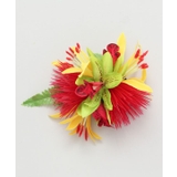 レッド系その他 | 【Maunaloa】ミニレフアシンビジウムクリップ | アミナコレクション 