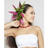 その他 | 【Maunaloa】ティーリーフクリップ | アミナコレクション 