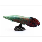 古代魚 フィギュア ソフトモデルフィギュア | cinemacollection | 詳細画像2