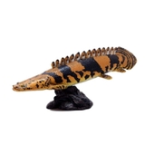 古代魚 フィギュア ソフトモデルフィギュア | cinemacollection | 詳細画像1 