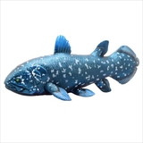 古代魚 フィギュア ビッグサイズフィギュア | cinemacollection | 詳細画像1