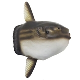 マンボウ フィギュア ソフビフィギア | cinemacollection | 詳細画像1