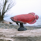 アジアアロワナ フィギュア ソフトモデルフィギュア | cinemacollection | 詳細画像9 