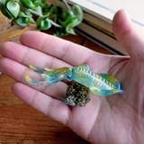 フィギュア アオリイカ アクアフィッシュ | cinemacollection | 詳細画像7