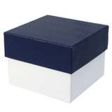 ドラえもん 小鉢 九谷焼 | cinemacollection | 詳細画像4 