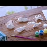ミニカンブリアモンスター フィギュア ペイントモデルボックス01 | cinemacollection【KIDS】 | 詳細画像4 