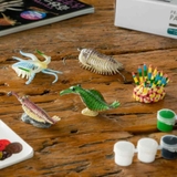 ミニカンブリアモンスター フィギュア ペイントモデルボックス01 | cinemacollection【KIDS】 | 詳細画像6 