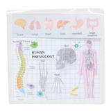 STUDY HOLIC 付箋 | cinemacollection | 詳細画像1