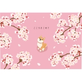 グリーティングカード 二つ折りポップアップカード 立体 | cinemacollection | 詳細画像2 