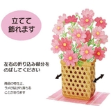 グリーティングカード アキ JAU | cinemacollection | 詳細画像4