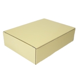 仮面ライダーガッチャード キッズ食器 フルーツ皿 | cinemacollection【KIDS】 | 詳細画像4 