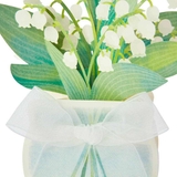 グリーティングカード シヨカ JES | cinemacollection | 詳細画像2