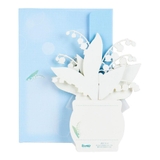 グリーティングカード シヨカ JES | cinemacollection | 詳細画像3