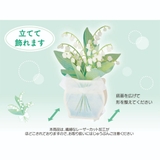 グリーティングカード シヨカ JES | cinemacollection | 詳細画像4