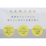 入浴剤 バスソルト 銭湯 Green Flash プレゼント ギフト グッズ | cinemacollection | 詳細画像2