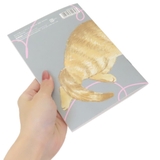 ねこハラ 方眼ノート B6ノート | cinemacollection | 詳細画像2