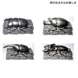 知育玩具 山の発掘名人 昆虫 | cinemacollection | 詳細画像3