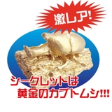 知育玩具 山の発掘名人 昆虫 | cinemacollection | 詳細画像4