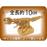 知育玩具 スーパー発掘名人ゴールド 全6種 | cinemacollection | 詳細画像3