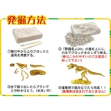 知育玩具 黄金の発掘名人 SUPER | cinemacollection | 詳細画像2