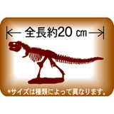 知育玩具 黄金の発掘名人 SUPER | cinemacollection | 詳細画像3
