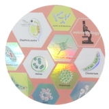 STUDY HOLIC ダイカットシール | cinemacollection | 詳細画像1 