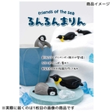 るんるんまりん friends of | cinemacollection | 詳細画像5 