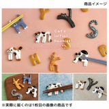 Cat s initial | cinemacollection | 詳細画像3 