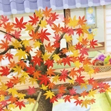 グリーティングカード アキ JAU28 | cinemacollection | 詳細画像2 