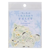 Shinzi Katoh シンジ | cinemacollection | 詳細画像1 