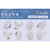 Shinzi Katoh シンジ | cinemacollection | 詳細画像2 