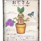 プラッシュドール ぬいぐるみ おじさん | cinemacollection | 詳細画像3