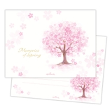 便箋 桜柄レターパッド 1柄10枚入り | cinemacollection | 詳細画像1 