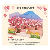 グリーティングカード ハルJSC 1 | cinemacollection | 詳細画像4