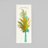 Hakuoshi Botanical 手紙セット | cinemacollection | 詳細画像4 