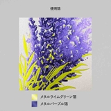 Hakuoshi Botanical 手紙セット | cinemacollection | 詳細画像7 