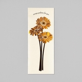 Hakuoshi Botanical 手紙セット | cinemacollection | 詳細画像4 