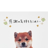 グリーティングカード サンキユ TY323 | cinemacollection | 詳細画像4