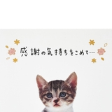 グリーティングカード サンキユ TY324 | cinemacollection | 詳細画像4