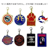 スーパーガール ファスナーマスコット メタルチャームコレクション | cinemacollection | 詳細画像1