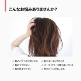 amos PROFESSIONAL トゥルーリペア | C&C PLANET コスメ | 詳細画像2