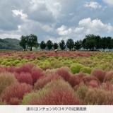 FILFLO PA インフューズド ユルムセラム 45mL(ハトムギセラム) | C&C PLANET コスメ | 詳細画像17