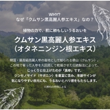 FILFLO ペプチドマイクロ アイパッチ（目元用 ニードルパッチ） | C&C PLANET コスメ | 詳細画像13 