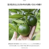 日本限定発売Ⅴトナー GREEN TANGERINE | COSME Re:MAKE | 詳細画像14 